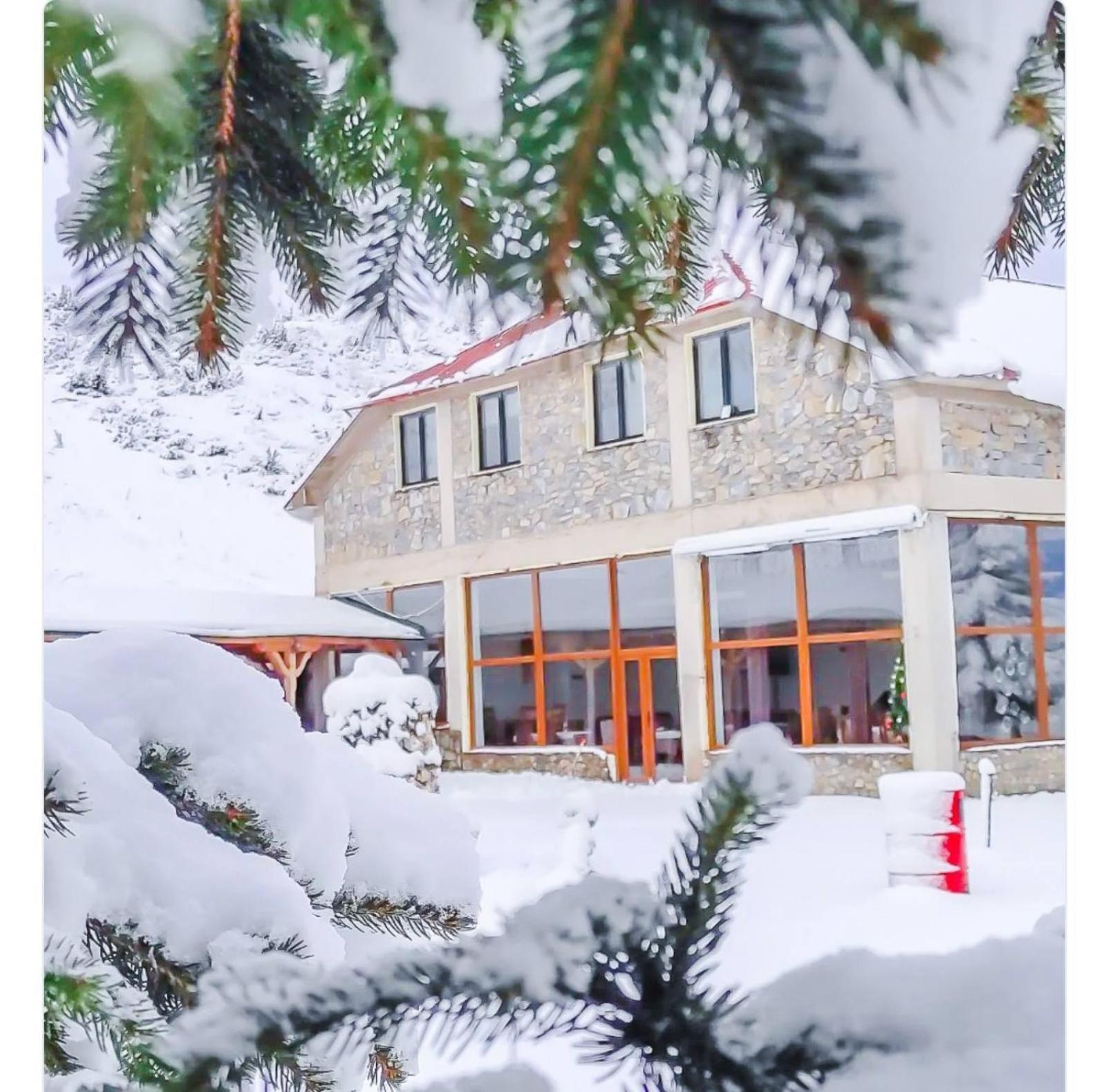 Victorian Heights Hotel Popova Shapka Ngoại thất bức ảnh